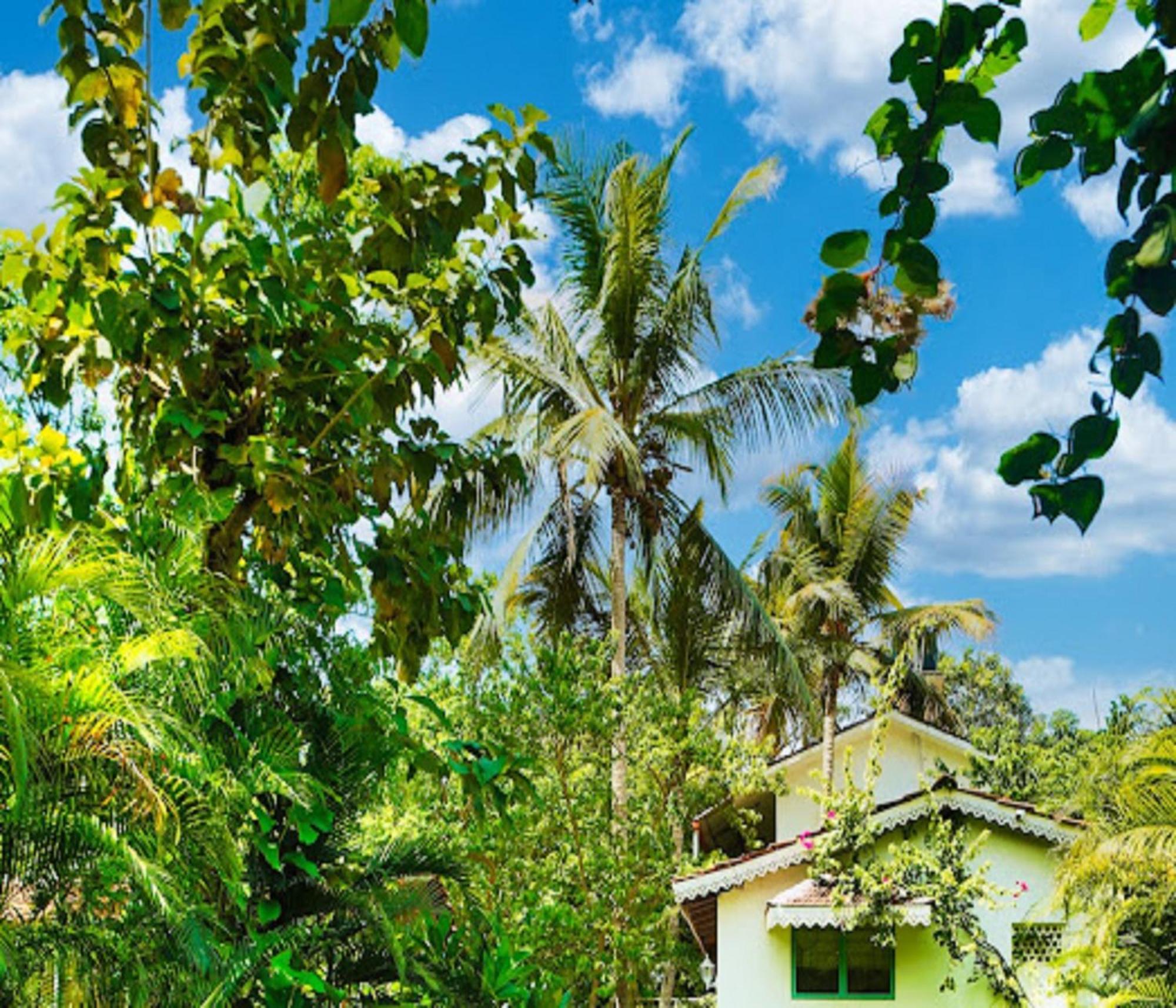 Lar Amorosa Boutique Hotel - Goa Calangute Exterior photo